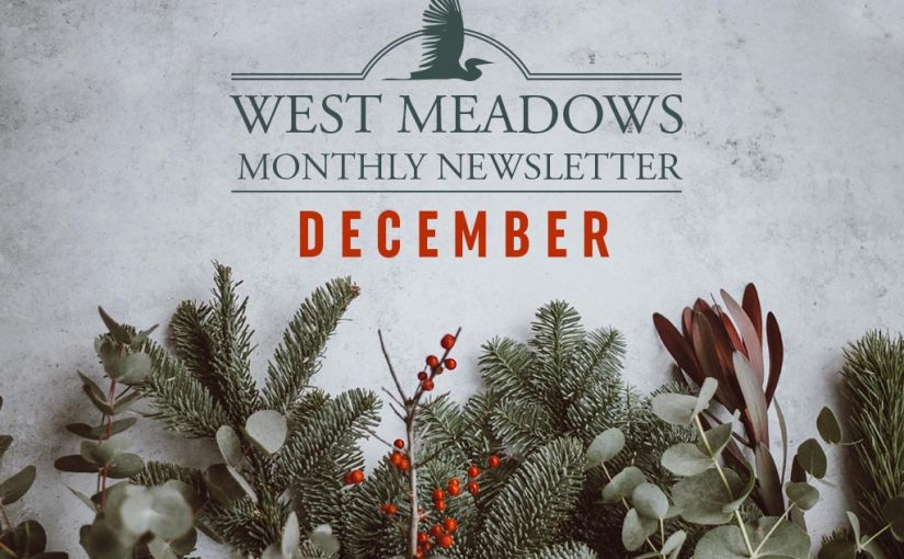 December 2018 Newsletter