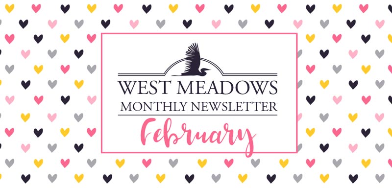 February Newsletter 2019