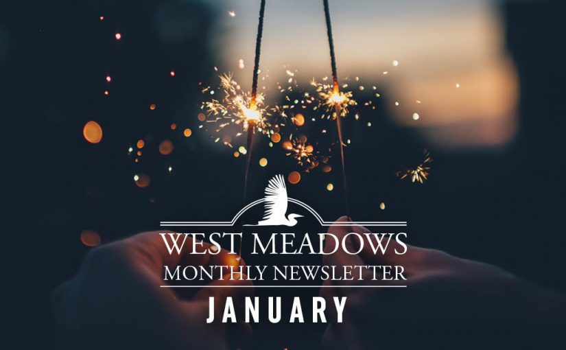 January 2019 Newsletter