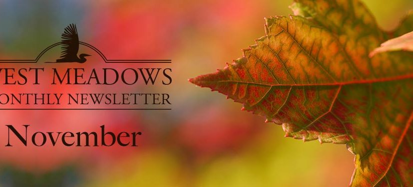 November Newsletter 2019