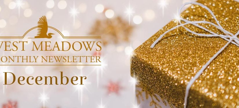 December Newsletter 2019