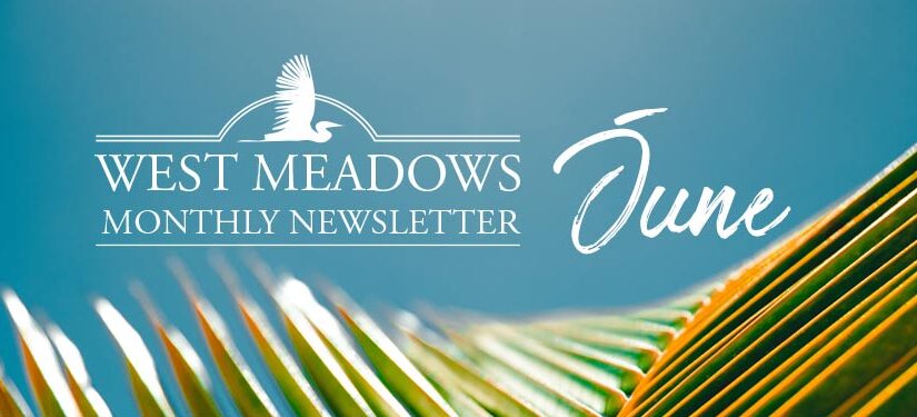 June Newsletter 2020