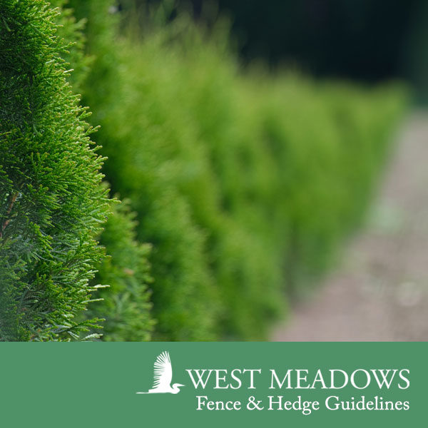 Fence-Hedges-West-Meadows-v2