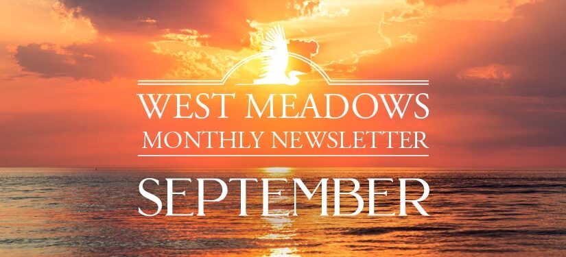 September Newsletter 2020