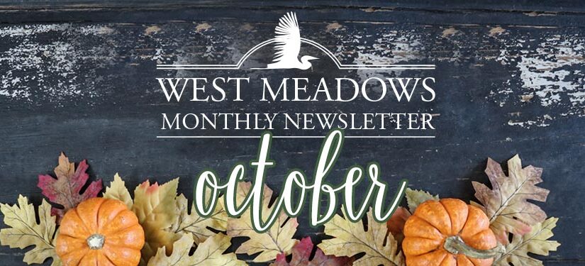 October Newsletter 2020