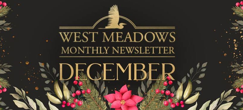 December Newsletter 2020