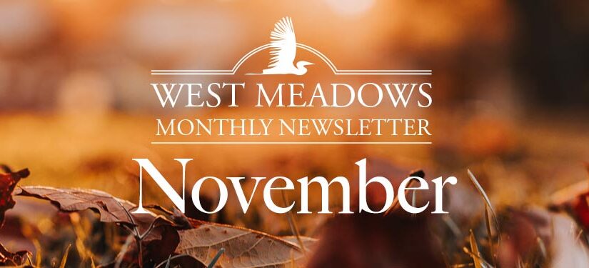 November Newsletter 2020