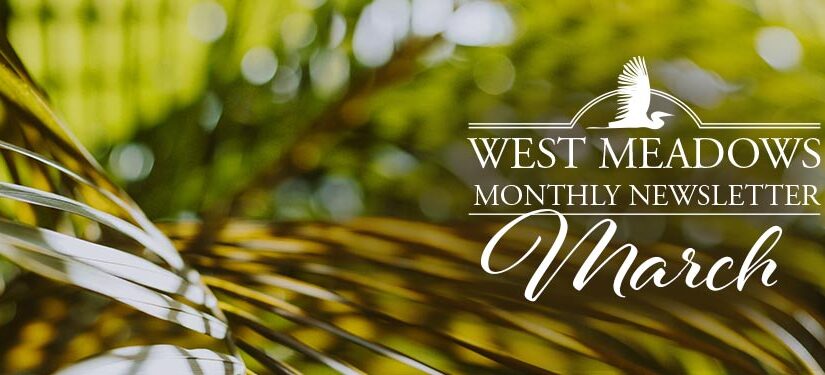 March Newsletter 2022