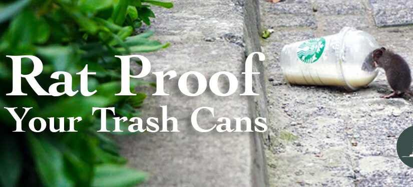 How to Rat Proof Your Trash Cans