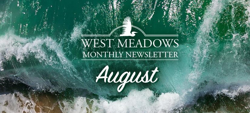 August Newsletter 2022