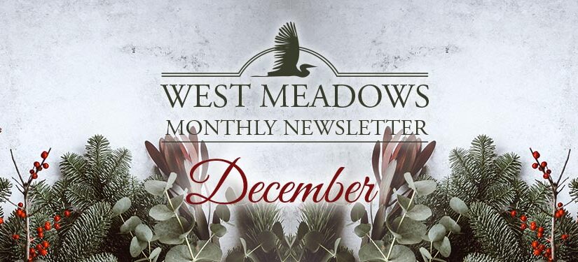 December Newsletter 2022