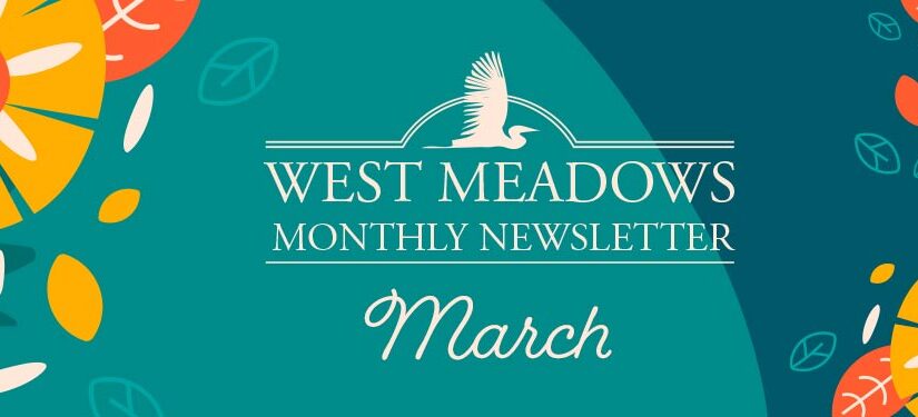 March 2023 Newsletter