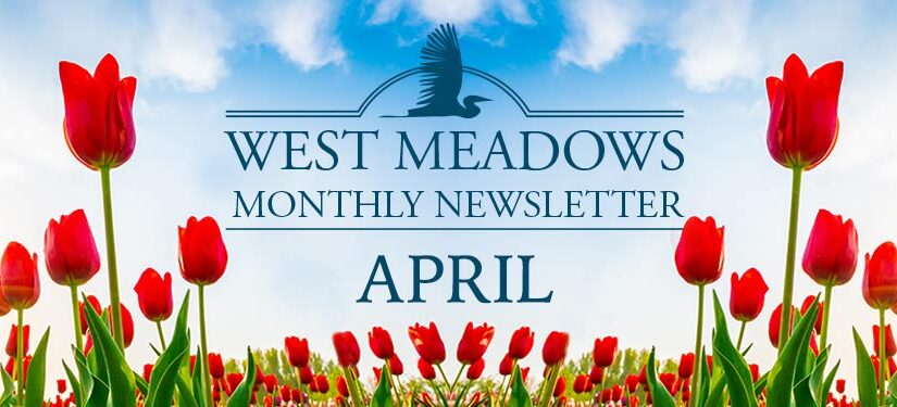 April 2023 Newsletter