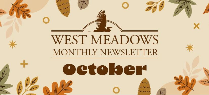 October Newsletter 2023