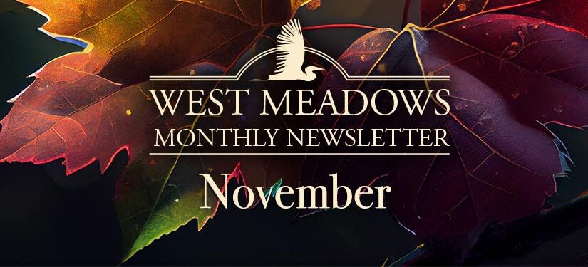 November Newsletter 2023