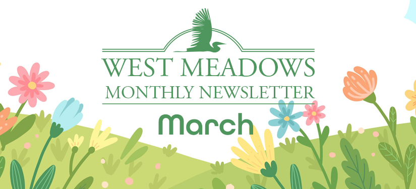 March 2024 Newsletter