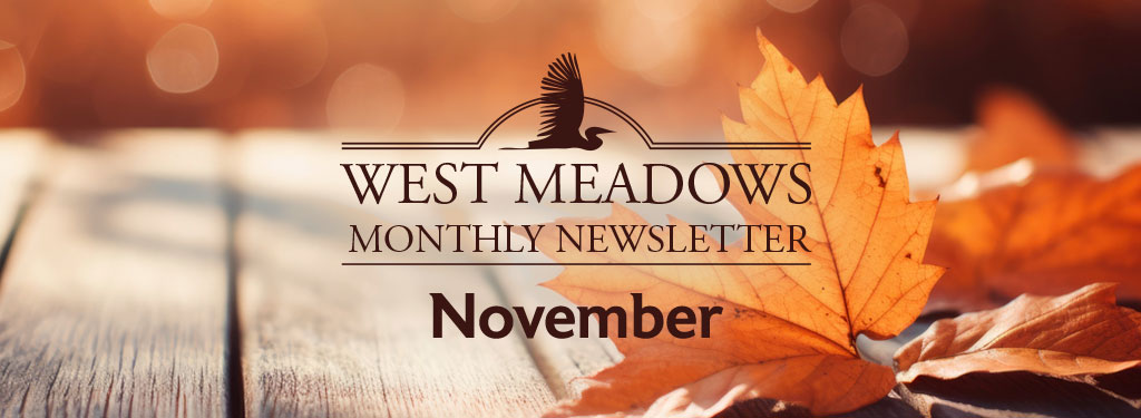 November 2024 Newsletter