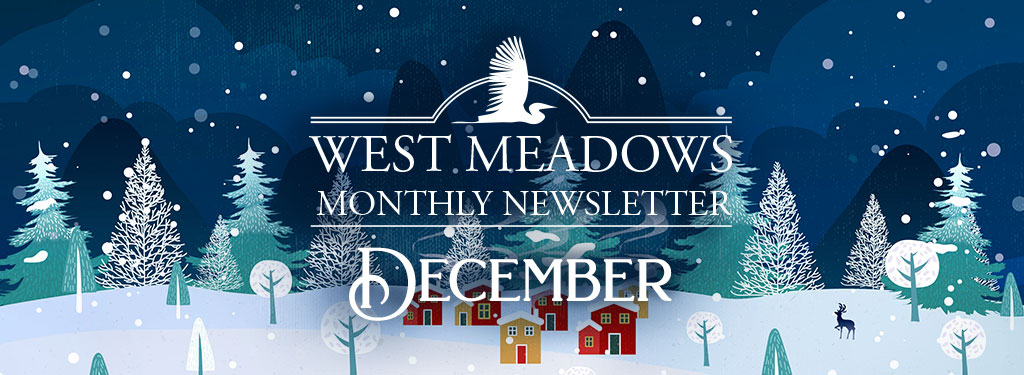 December 2024 Newsletter