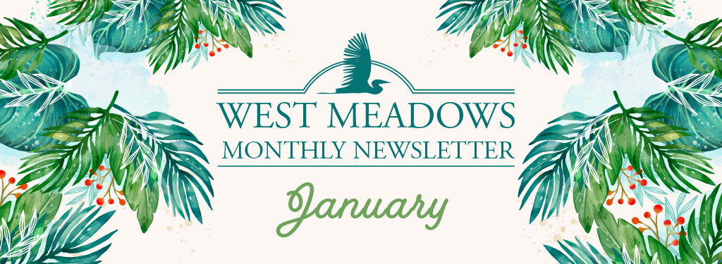 January 2025 Newsletter