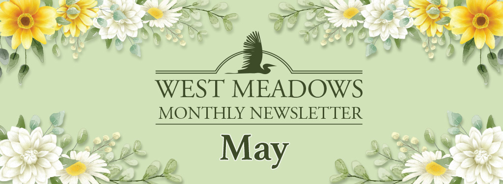May 2025 Newsletter