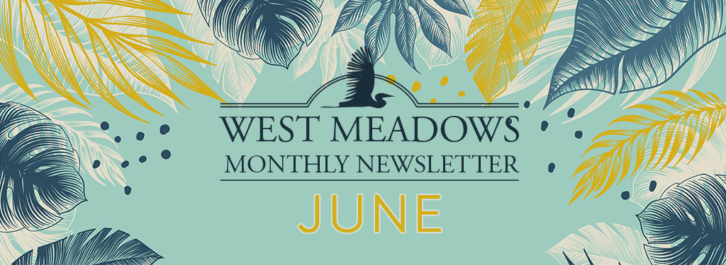June 2025 Newsletter