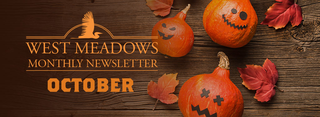 October Newsletter 2025