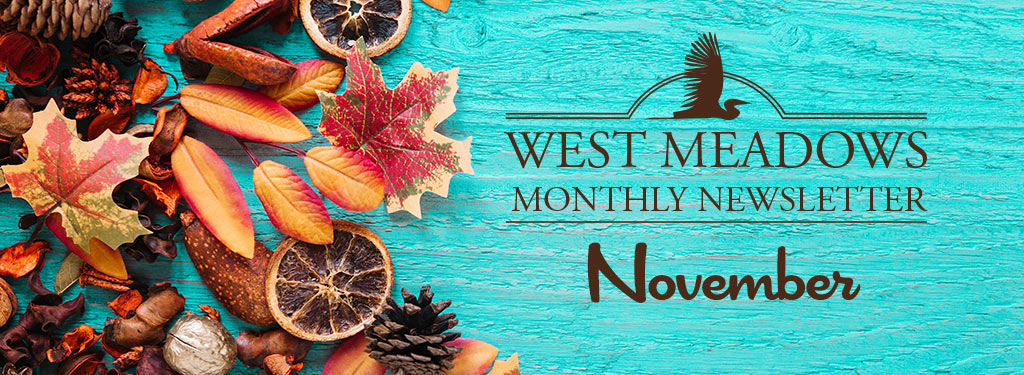 November Newsletter 2025