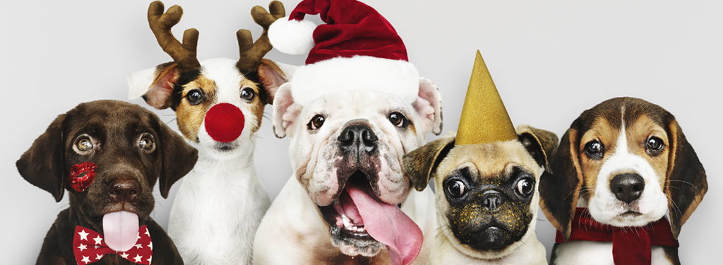 Santa Paws at the Clubhouse